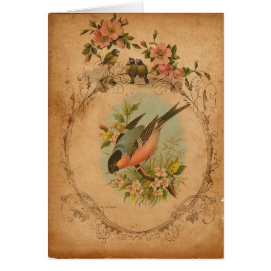 Bull Finch Digital Art Jedes Anlasses Grußkarte (Vorne)