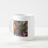 Bull Finch Kaffeetasse (Vorderseite Links)