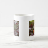 Bull Finch Kaffeetasse (Mittel)