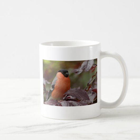 Bull Finch Kaffeetasse (Rechts)