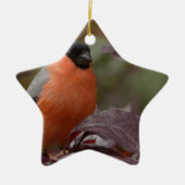 Bull Finch Keramikornament (Vorne)