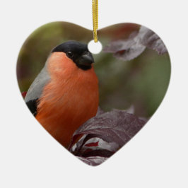 Bull Finch Keramikornament