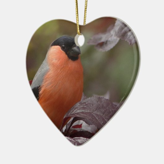 Bull Finch Keramikornament (Links)
