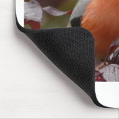 Bull Finch Mousepad (Ecke)