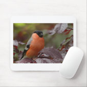 Bull Finch Mousepad (Mit Mouse)