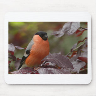 Bull Finch Mousepad