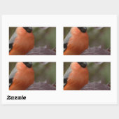 Bull Finch Rechteckiger Aufkleber (Blatt)