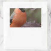 Bull Finch Rechteckiger Aufkleber (Tasche)