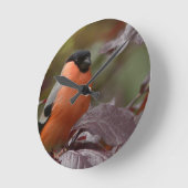 Bull Finch Runde Wanduhr (Winkel)
