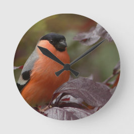 Bull Finch Runde Wanduhr