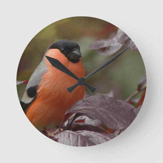 Bull Finch Runde Wanduhr (Vorderseite)