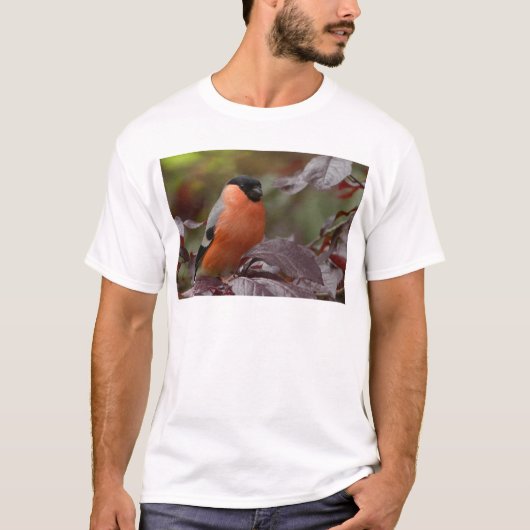 Bull Finch T-Shirt (Vorderseite)