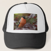 Bull Finch Truckerkappe (Vorderseite)
