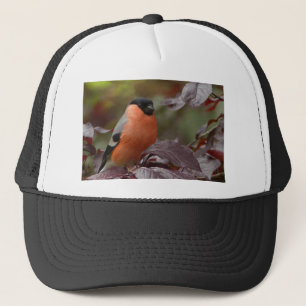 Bull Finch Truckerkappe