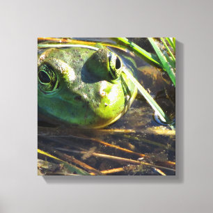 Bull Frog Face Wrapped Canvas Leinwanddruck