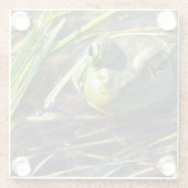Bull Frog Glasuntersetzer (Rückseite)