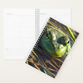 Bull Frog Planner Planer (Anzeige)