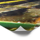 Bull Frog Poster (Ecke)