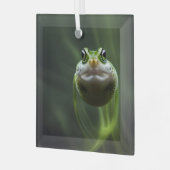 Bull Frog Tadpole Ornament Aus Glas (Vorderseite links)