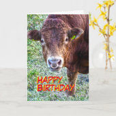 Bull-Geburtstag Karte (Gelbe Blume)