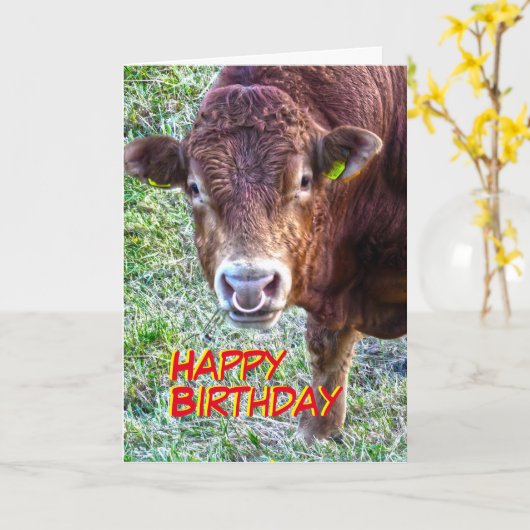Bull-Geburtstag Karte (Gelbe Blume)