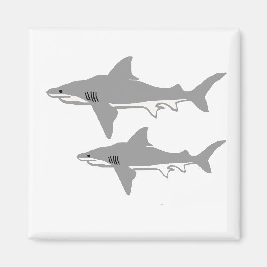 Bull-Hai-Magnet Magnet (Vorne)