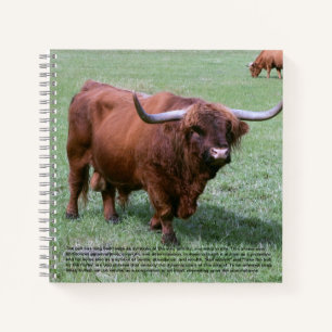 Bull Hardcover Notizblock