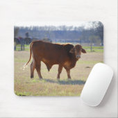 Bull in seinem Feldmousepad Mousepad (Mit Mouse)