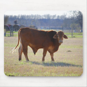 Bull in seinem Feldmousepad Mousepad