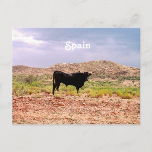 Bull in Spanien Postkarte (Vorderseite)