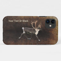 Bull Kariou (Reindeer)