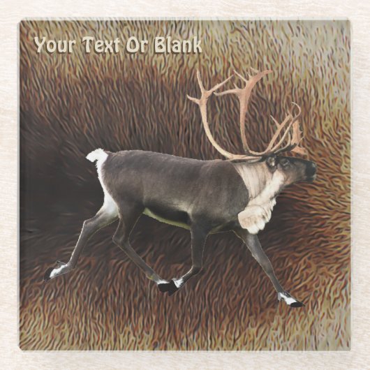 Bull Kariou (Reindeer) Glasuntersetzer (Vorderseite)