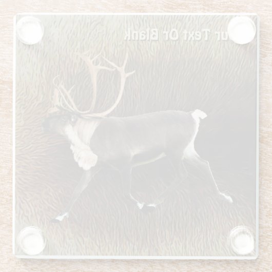 Bull Kariou (Reindeer) Glasuntersetzer (Rückseite)