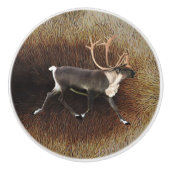 Bull Kariou (Reindeer) Keramikknauf (Vorderseite)
