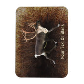 Bull Kariou (Reindeer) Magnet (Vertikal)