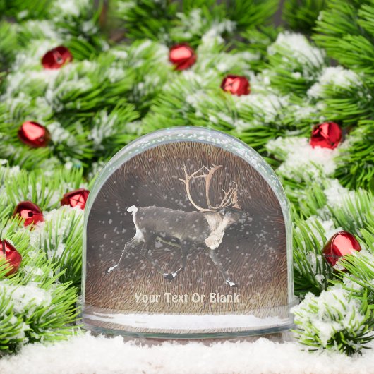 Bull Kariou (Reindeer) Schneekugeln (Weihnachten)