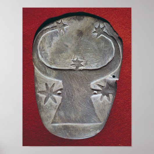 Bull-Kopfpalette Poster (Vorne)