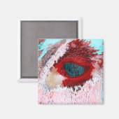 BULL MAGNET (Vorderseite/Rückseite)