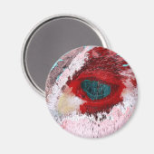 BULL MAGNET (Vorderseite/Rückseite)