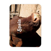 Bull Magnet (Vertikal)