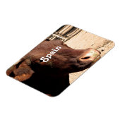 Bull Magnet (Linke Seite)