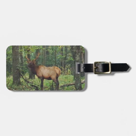 Bull-Männchen-Feld im Herbst Gepäckanhänger (Vorderseite horizontal)