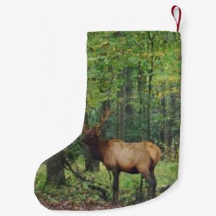 Bull-Männchen-Feld im Herbst Kleiner Weihnachtsstrumpf