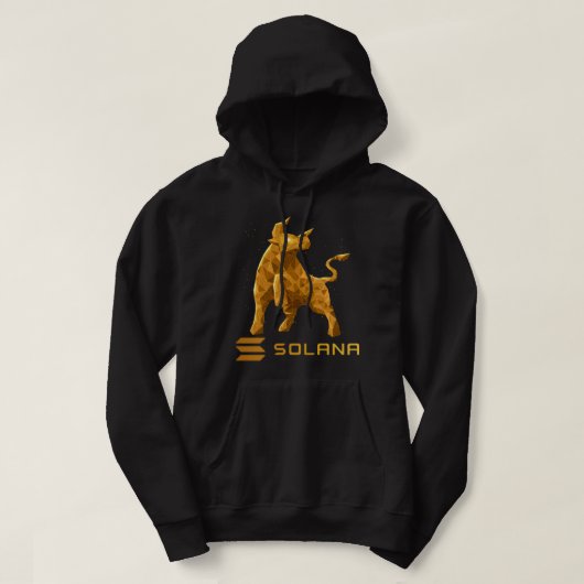 Bull Market Solana SOL Crypto Coin HODL Hoodie (Design vorne)