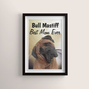 Bull Mastiff Best Mama Poster