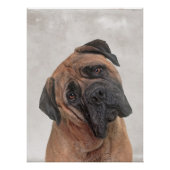 Bull Mastiff Poster (Vorderseite)