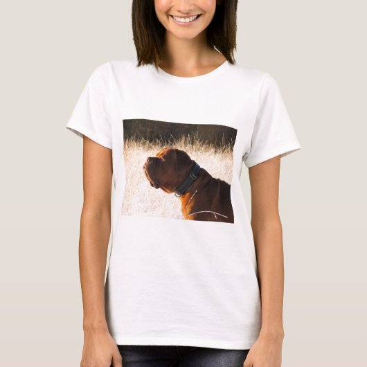 Bull-Mastiff T-Shirt (Vorderseite)