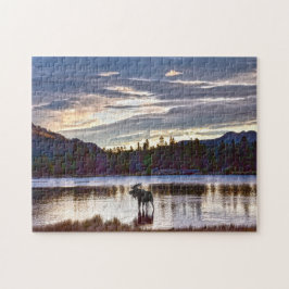 Bull Moose am Sprague Lake, Colorado, bei Morgendä Puzzle