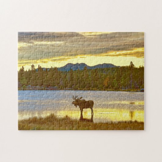 Bull Moose am Sprague Lake, Colorado bei Sunrise Puzzle (Horizontal)