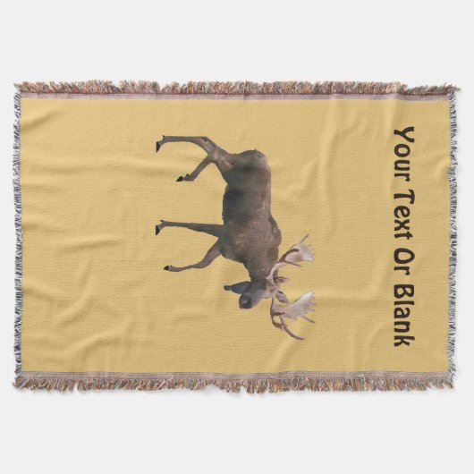 Bull Moose Decke (Vorderseite)